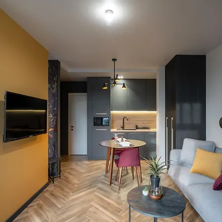 Czernowitz Deluxe Apartments المظهر الخارجي الصورة